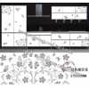 水轉(zhuǎn)印，家具水轉(zhuǎn)印，家具水移畫