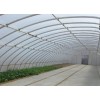 河北溫室大棚施工，春秋用大棚建造，自動化溫室大棚施工【快速get】華亮